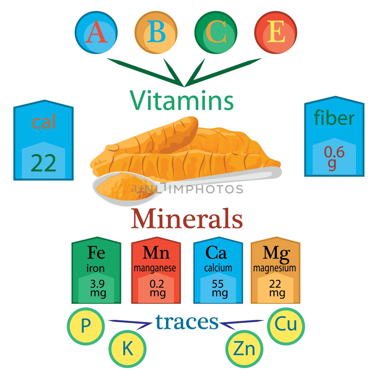 Compound of vitamins and minerals in one spoon of turmeric powder vector infographics