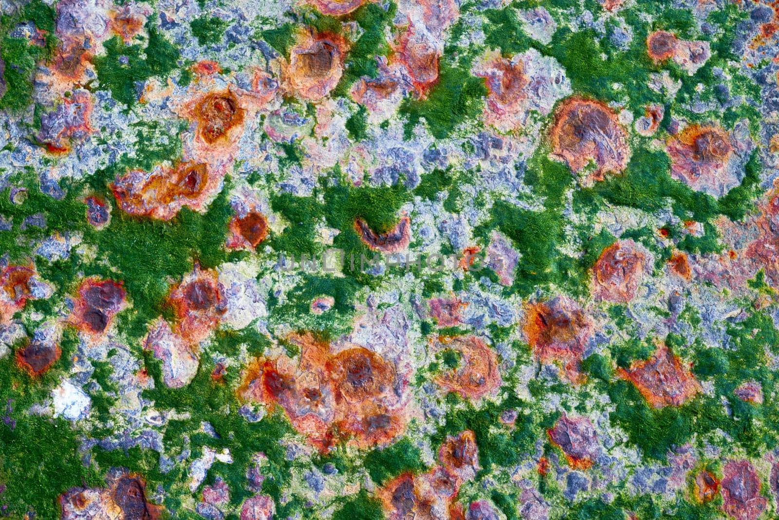 Green seaweed grows in patches on a metal plate. The metal has spots of rust all over it