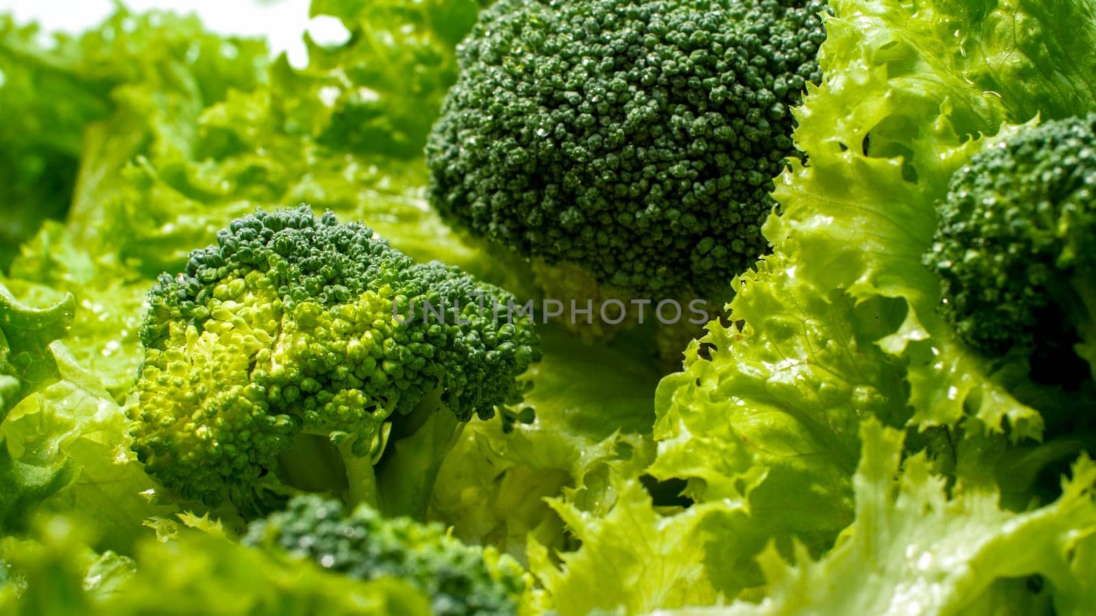 Macro image of fresh green broccoli and lettuce leaves in salad. Background for healthy food and GMO free products.Diet nutrition and fresh vegetables. Vegan and vegetarian background.