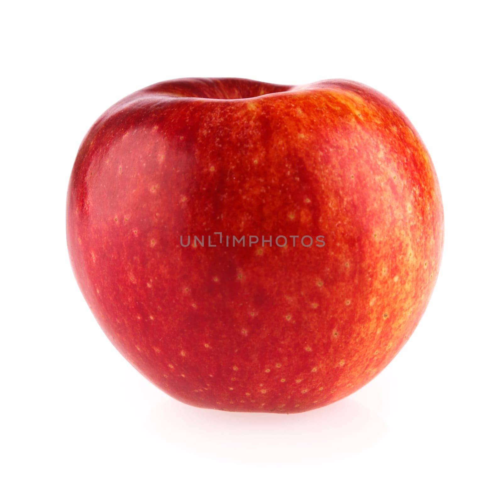 ripe red apple isolated on white