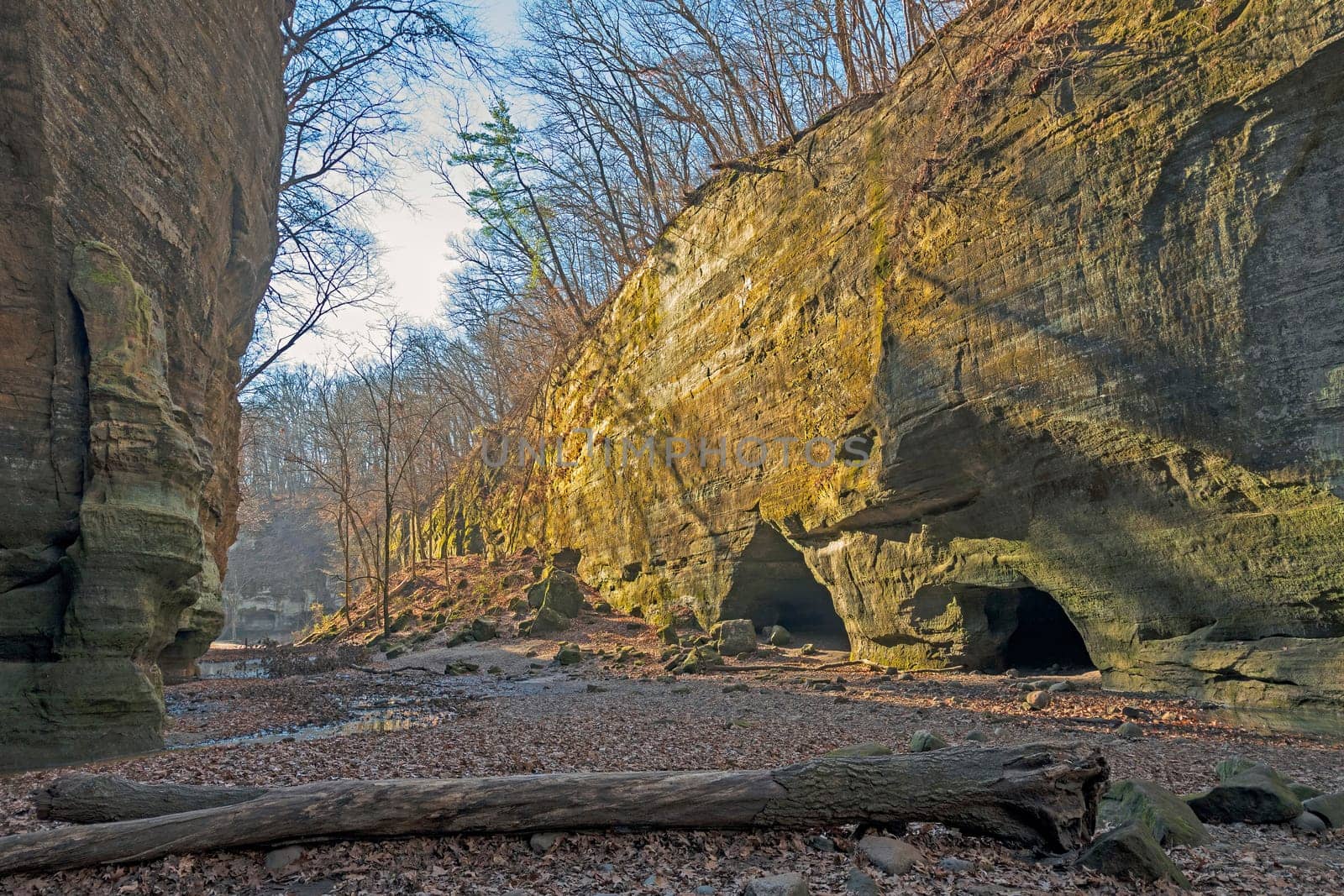 Quiet Light in a Secluded Canyon in Matthiessen State Park in Illinois