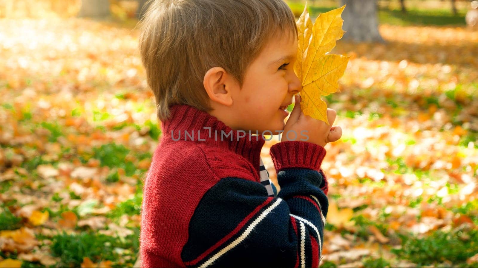 Happy smiling toddler boy holding yellow fallen autumn leaf at park.
