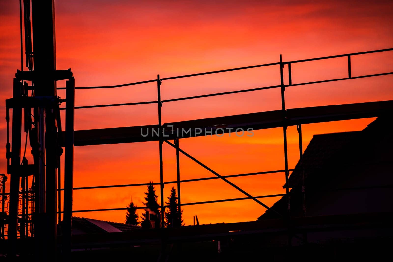 Crane at dawn
