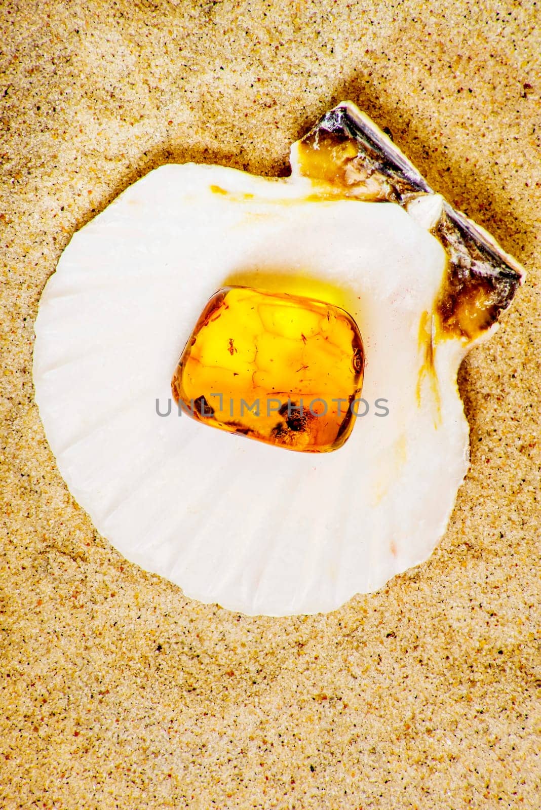 Amber with embedded insect