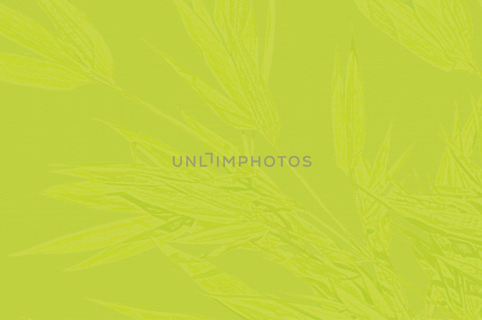 stationery with bamboo leaves