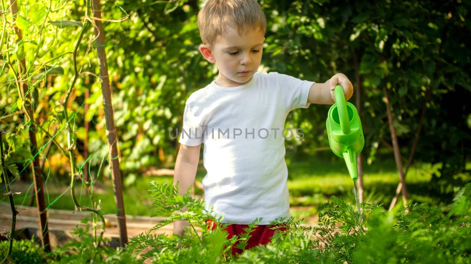 Portrait of little toddler boy helping parents working in garden and watering vegetables.