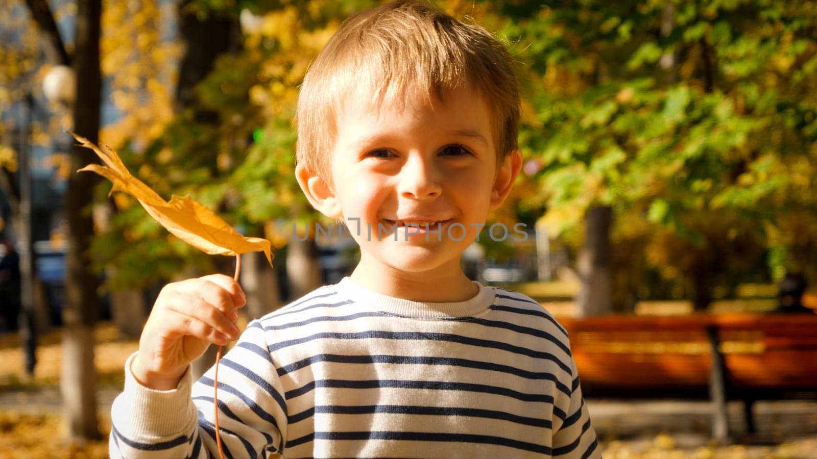 Portrait of smiling little boy holding autumn tree leaf and looking in camera.
