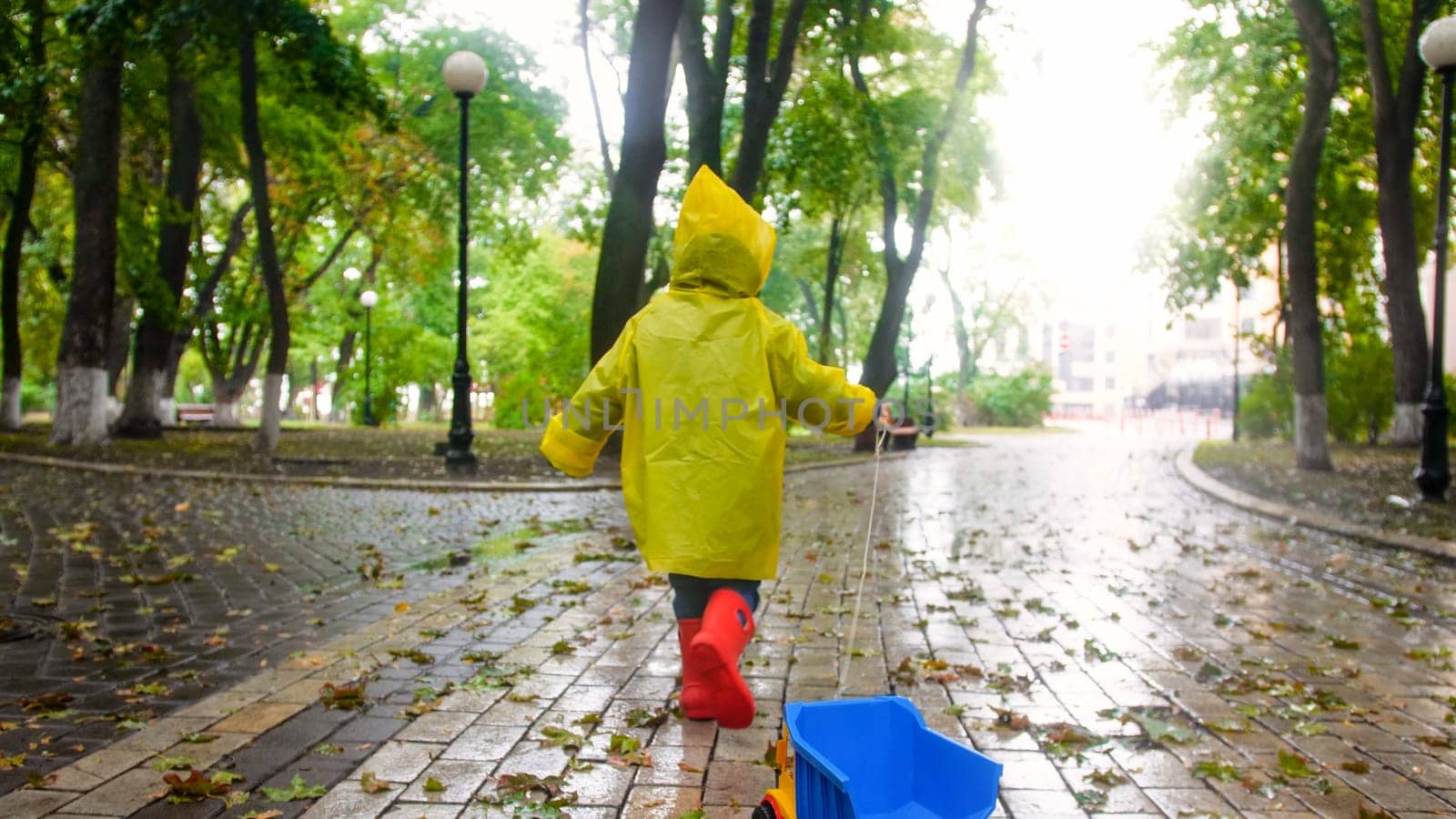 Rear view photo of little boy pulling toy truck by rope on rainy day at autumn park.