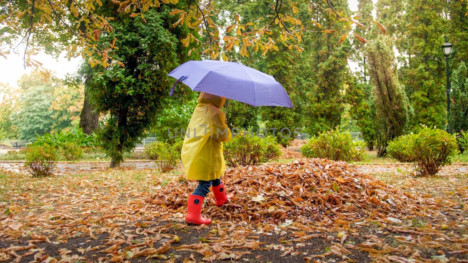Little boy with umbrella walking over wet auutmn leaves after rain at park.