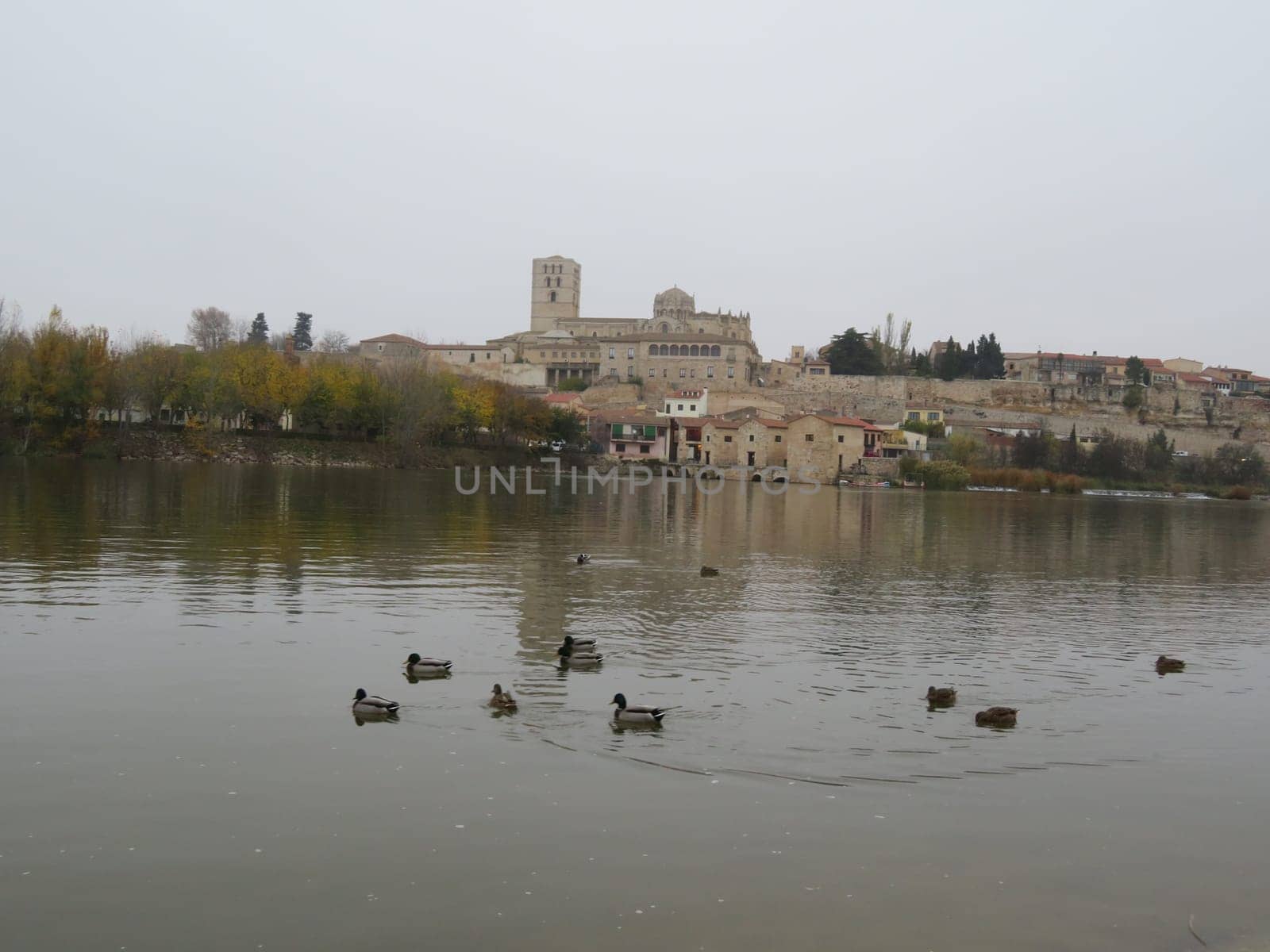 beautiful city with zamora river Ancient medieval Spain