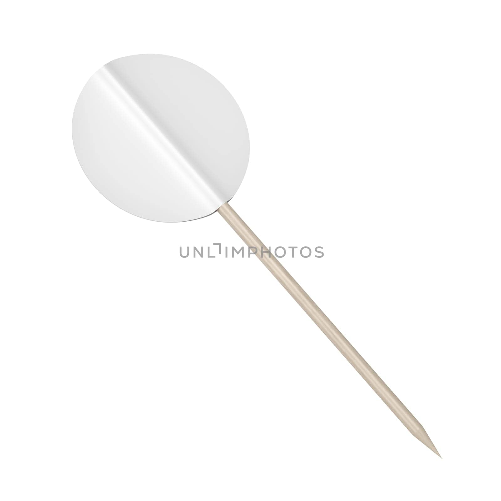Blank round toothpick flag isolated on white background