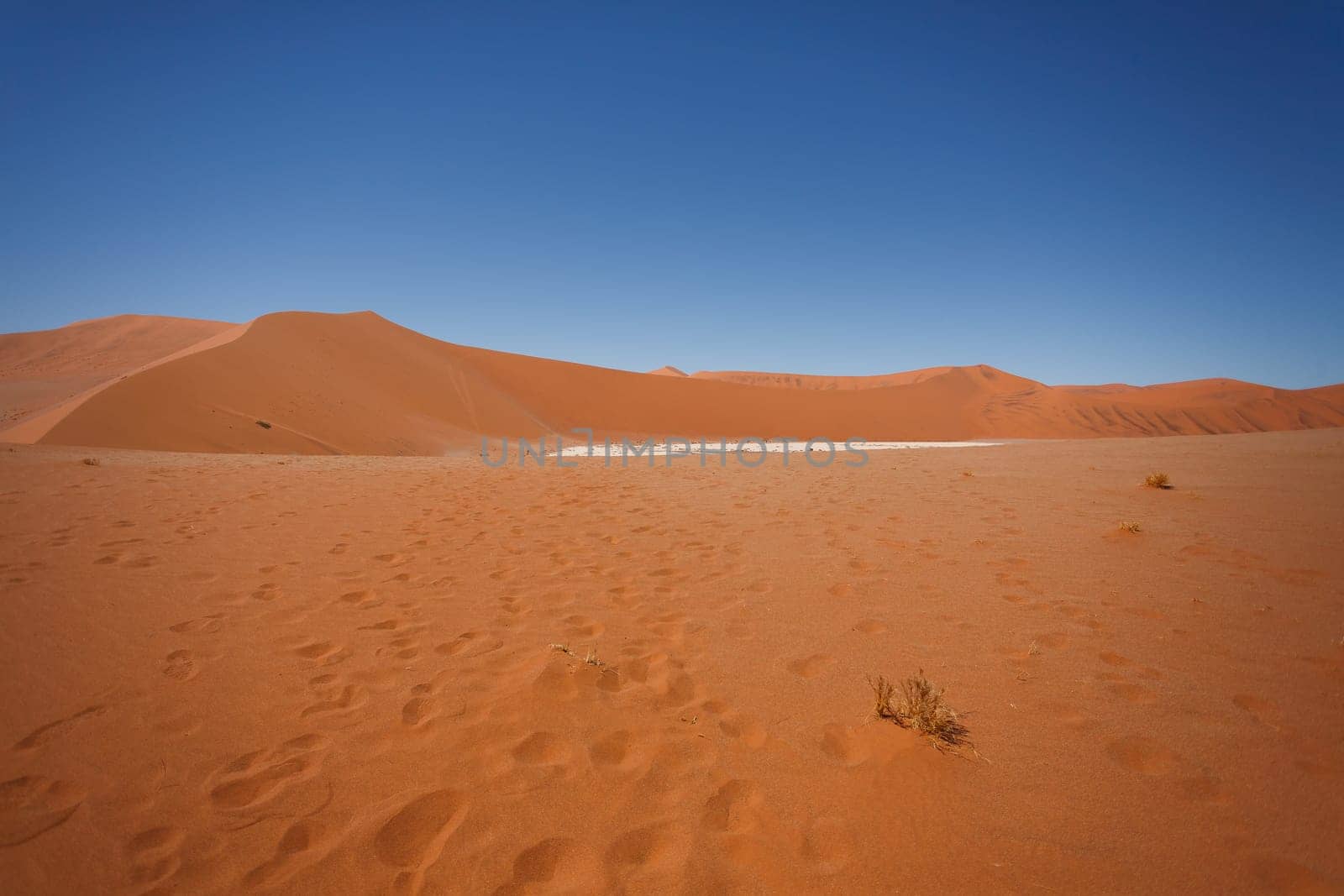 Panorama of red dunes from Hidden Vlei, Sossusvlei Namibia