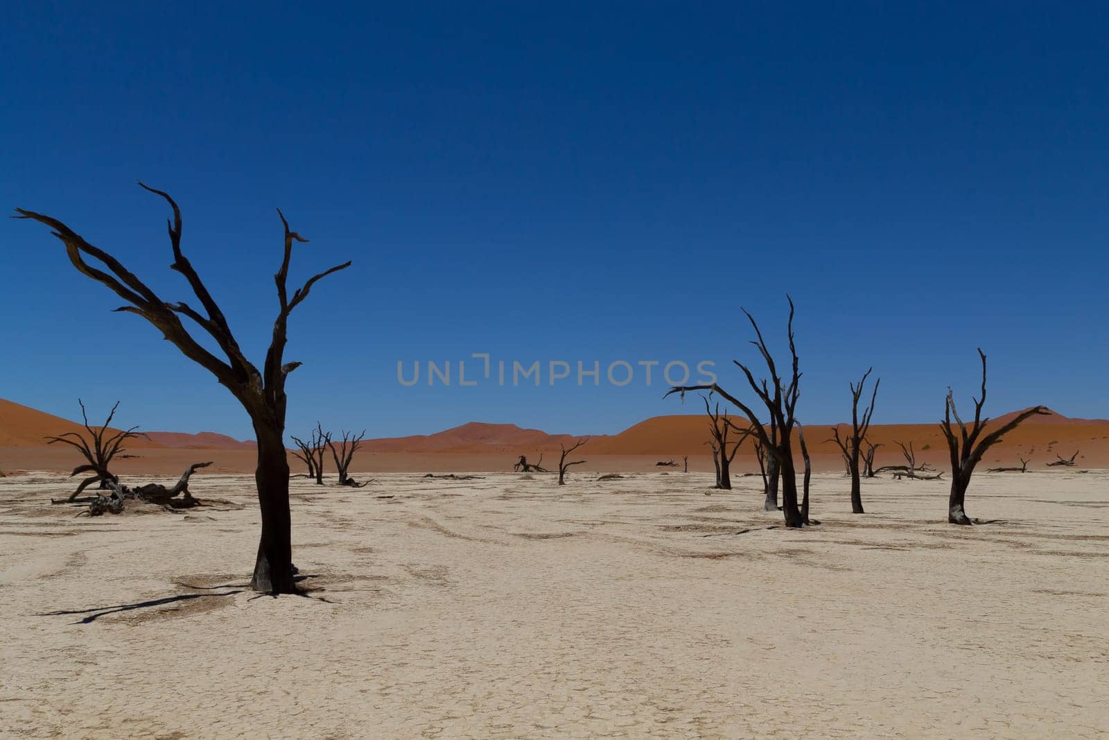 A view from Dead Vlei, Sossusvlei Namibia