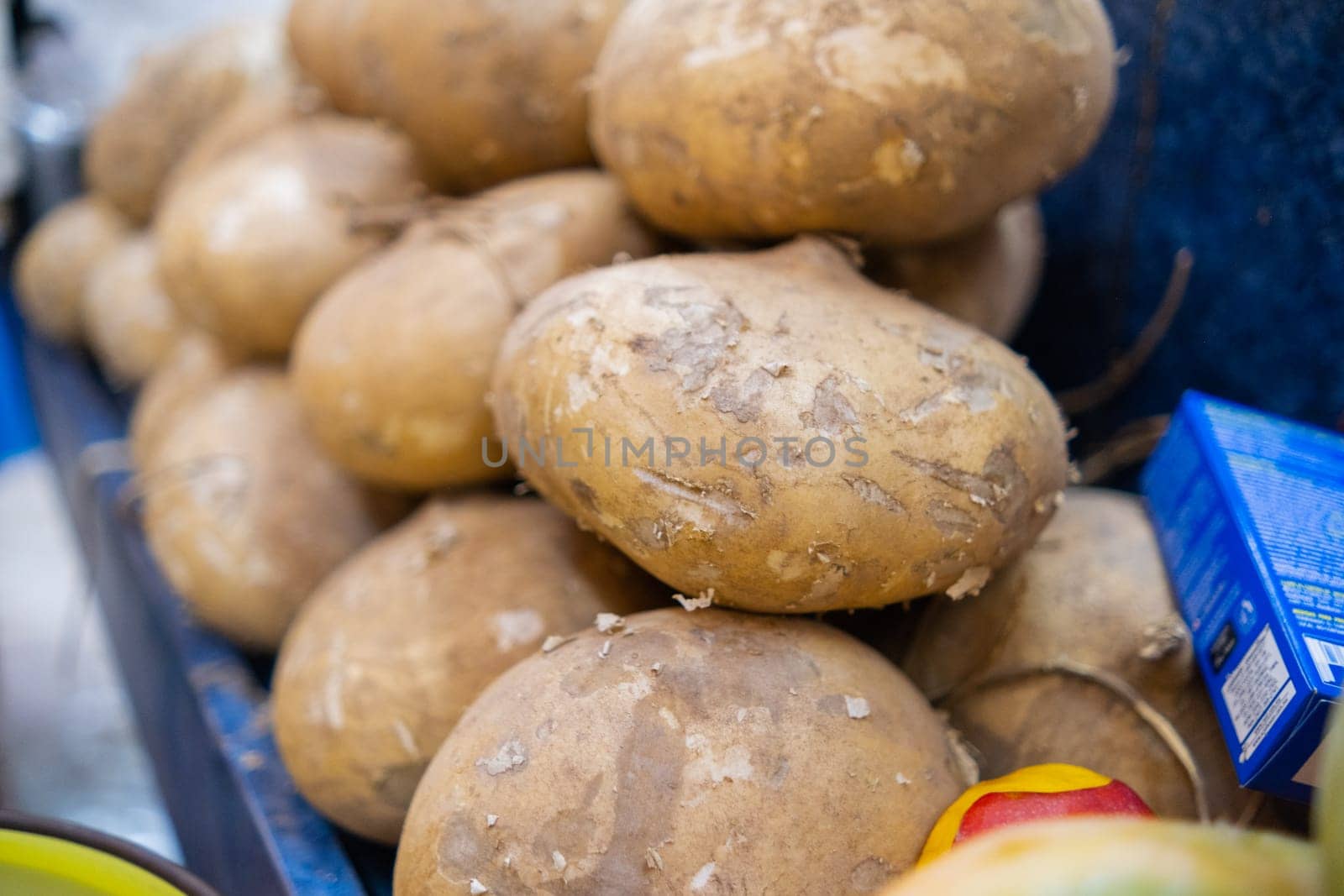 Close-up of fruit stand with pile of fresh brown jicamas. Juicy-looking fruit for sale on blue stall inside classic Mexican market. Natural healthy food