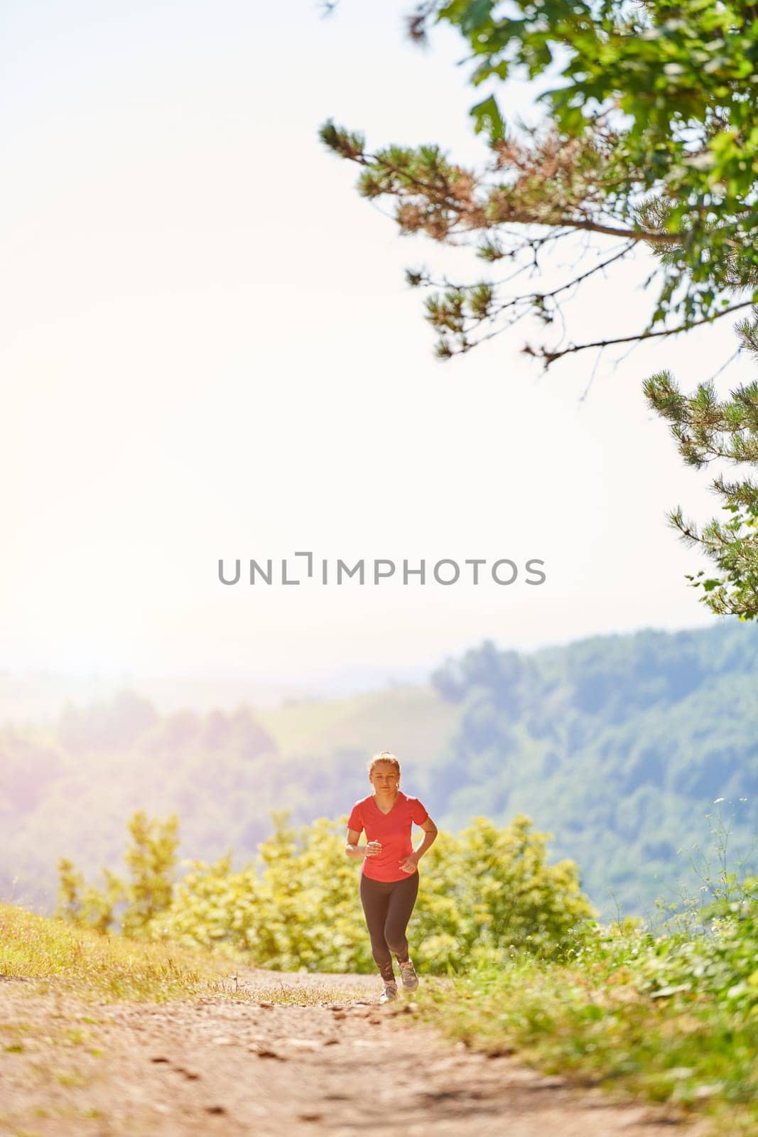 woman enjoying in a healthy lifestyle while jogging on a country road through the beautiful sunny forest, exercise and fitness concept