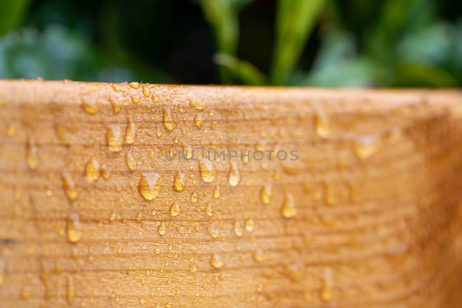 Close up of big water drops on lacquered wood after rain