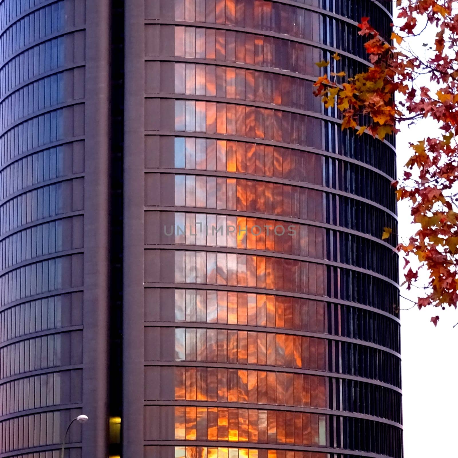 Autumn Fire House