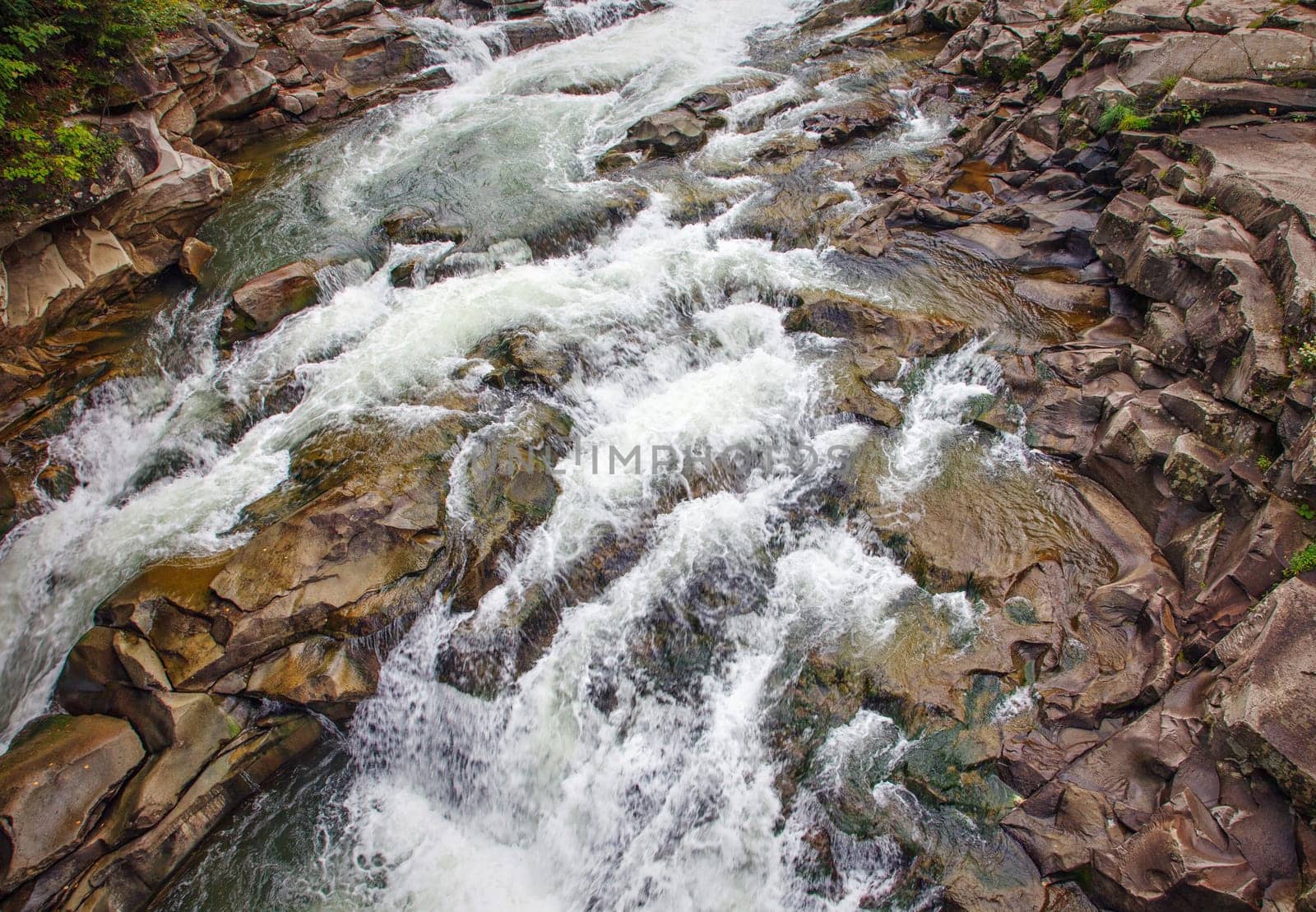 Fast river in a mountain forest on a sunny day