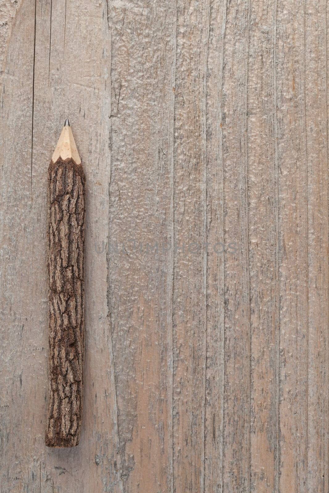 tree,trunk,pencil,wood,nature,handmade,supplies