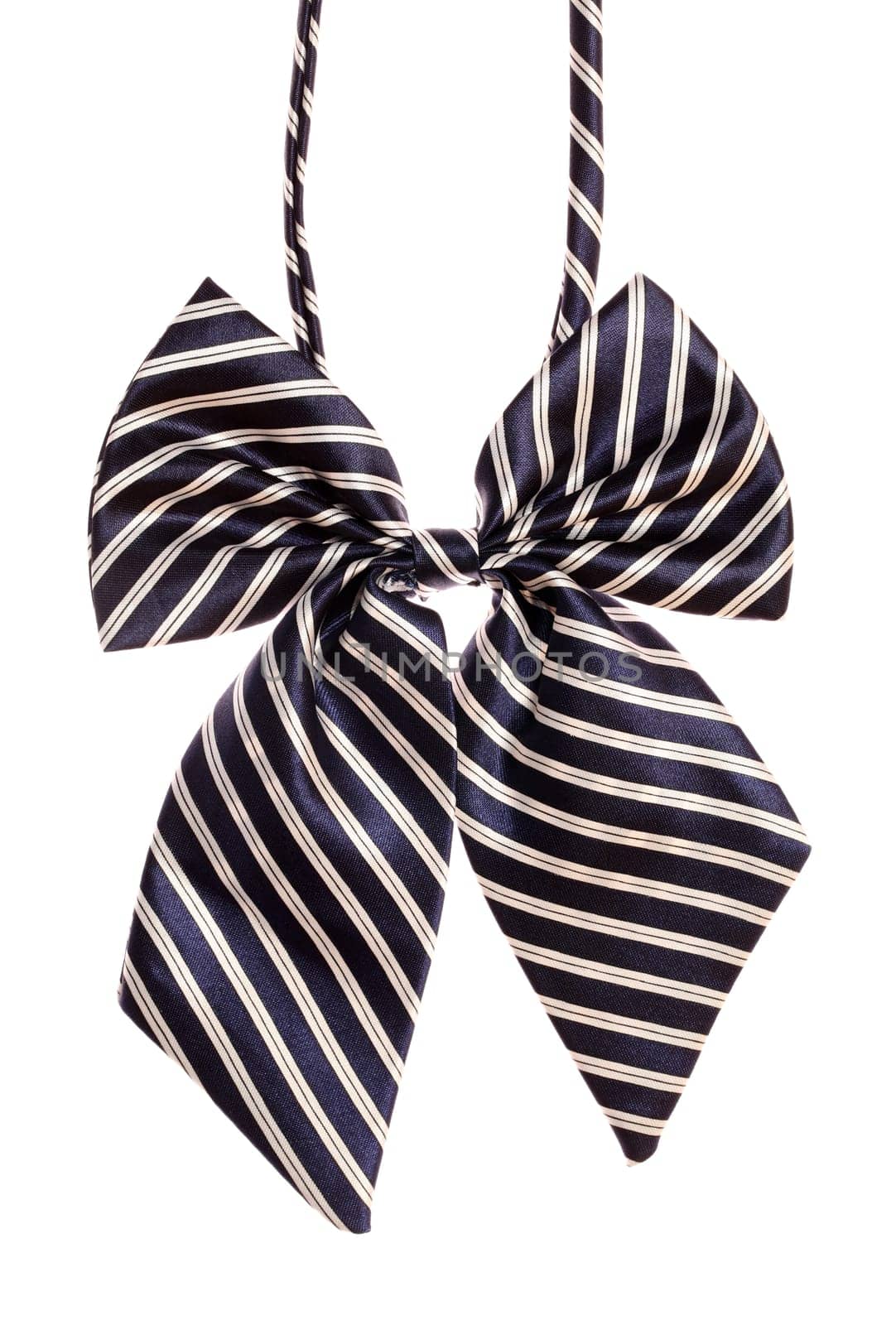bow tie isolated on the white 　