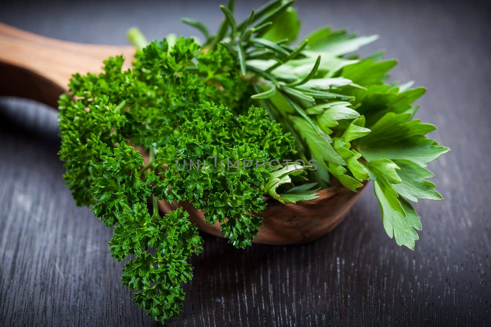 Fresh herbs on wooden table