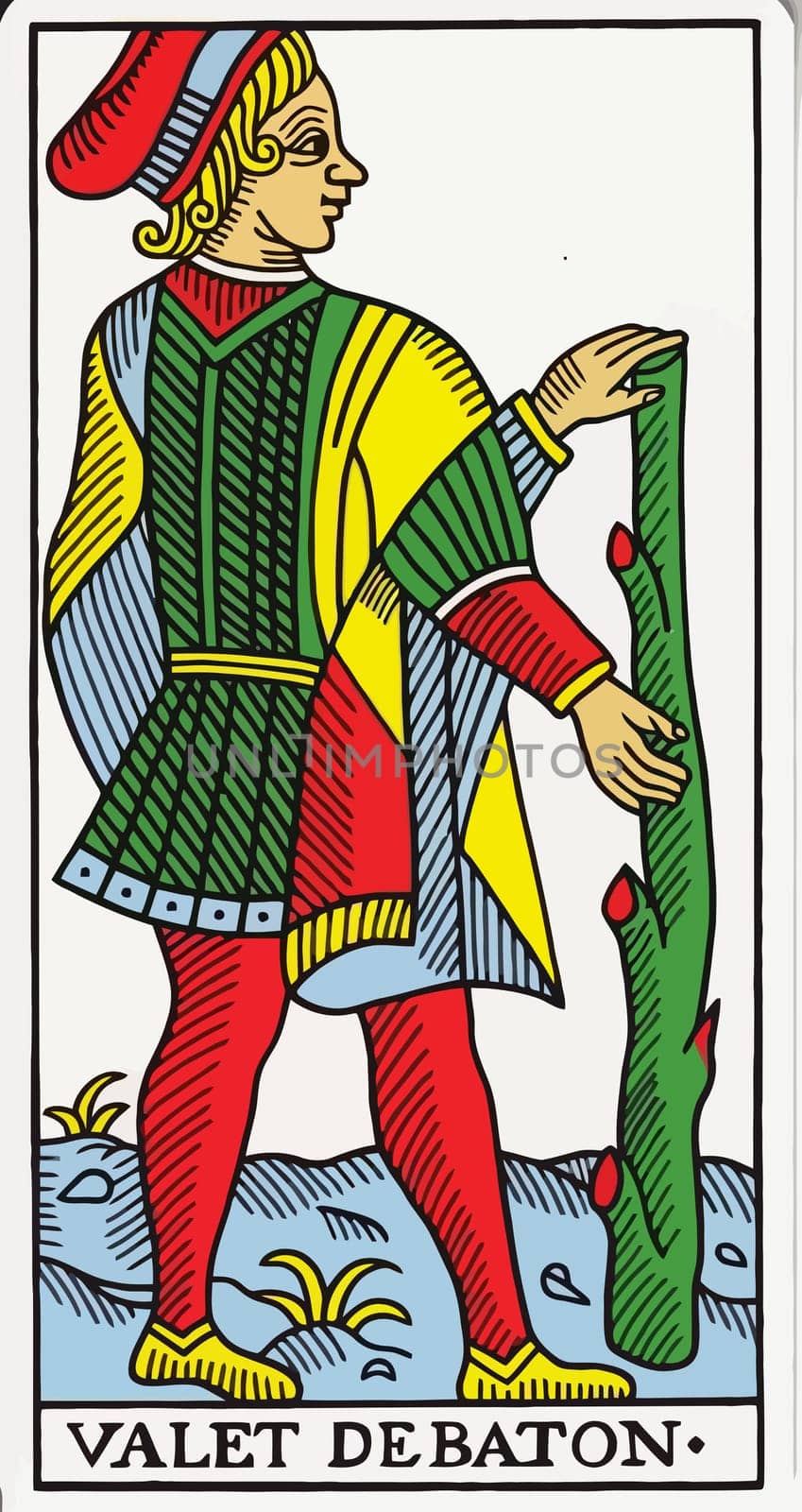 tarot fortune telling card illustration