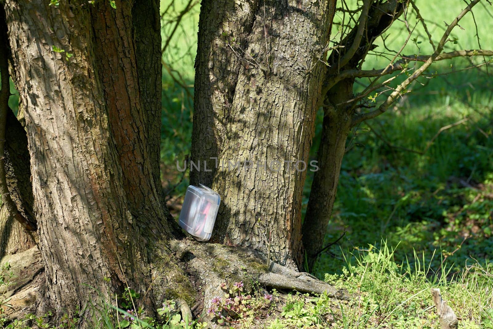 found geocaching hiding place with a cache in a box in a tree in the Herrenkrugpark near Magdeburg in Germany
