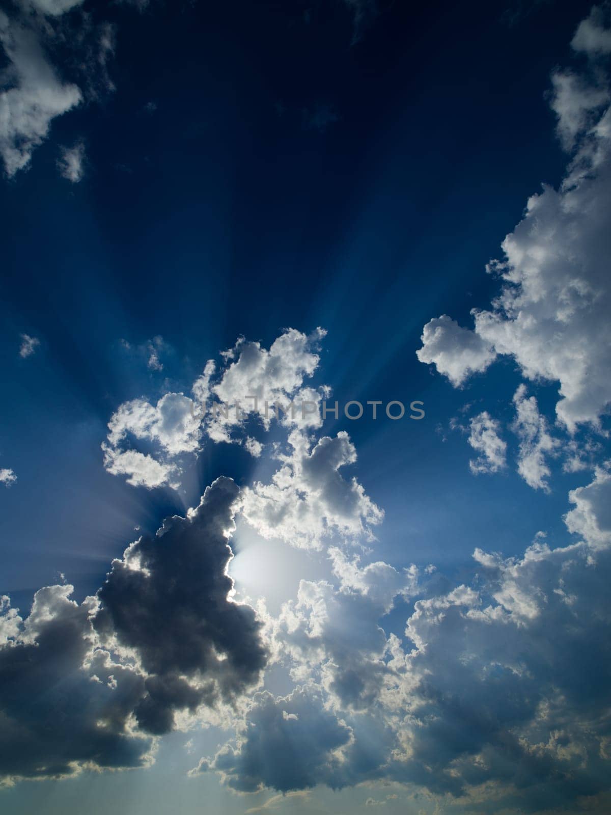 summer evening  blue sky with beautiful clouds and sunshine