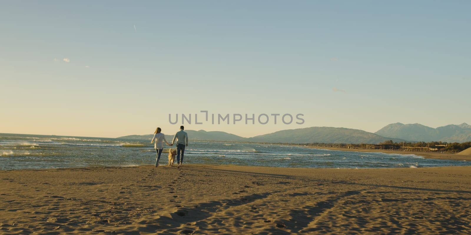Couple Running On The Beach Holding Their Hands with dog On autmun day