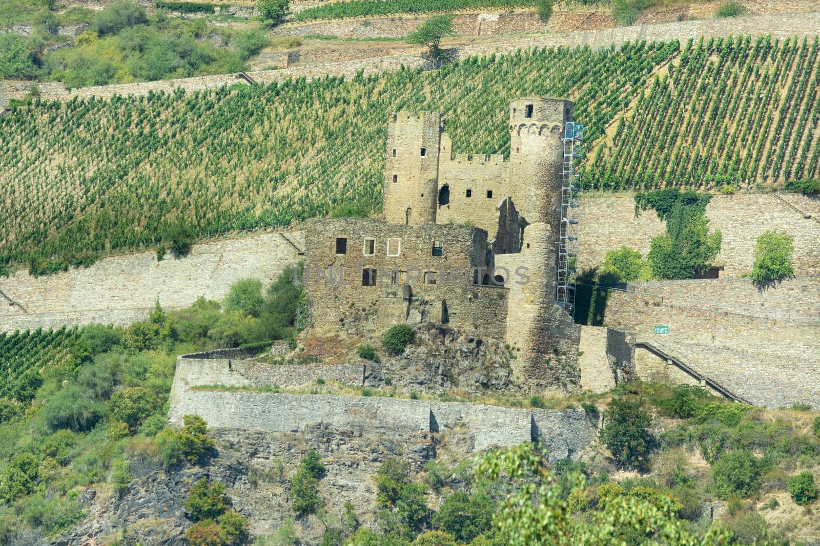 Ruine der Burg Ehrenfels, Rüdesheim am Rhein, Rheingau, Hessen, Deutschland
