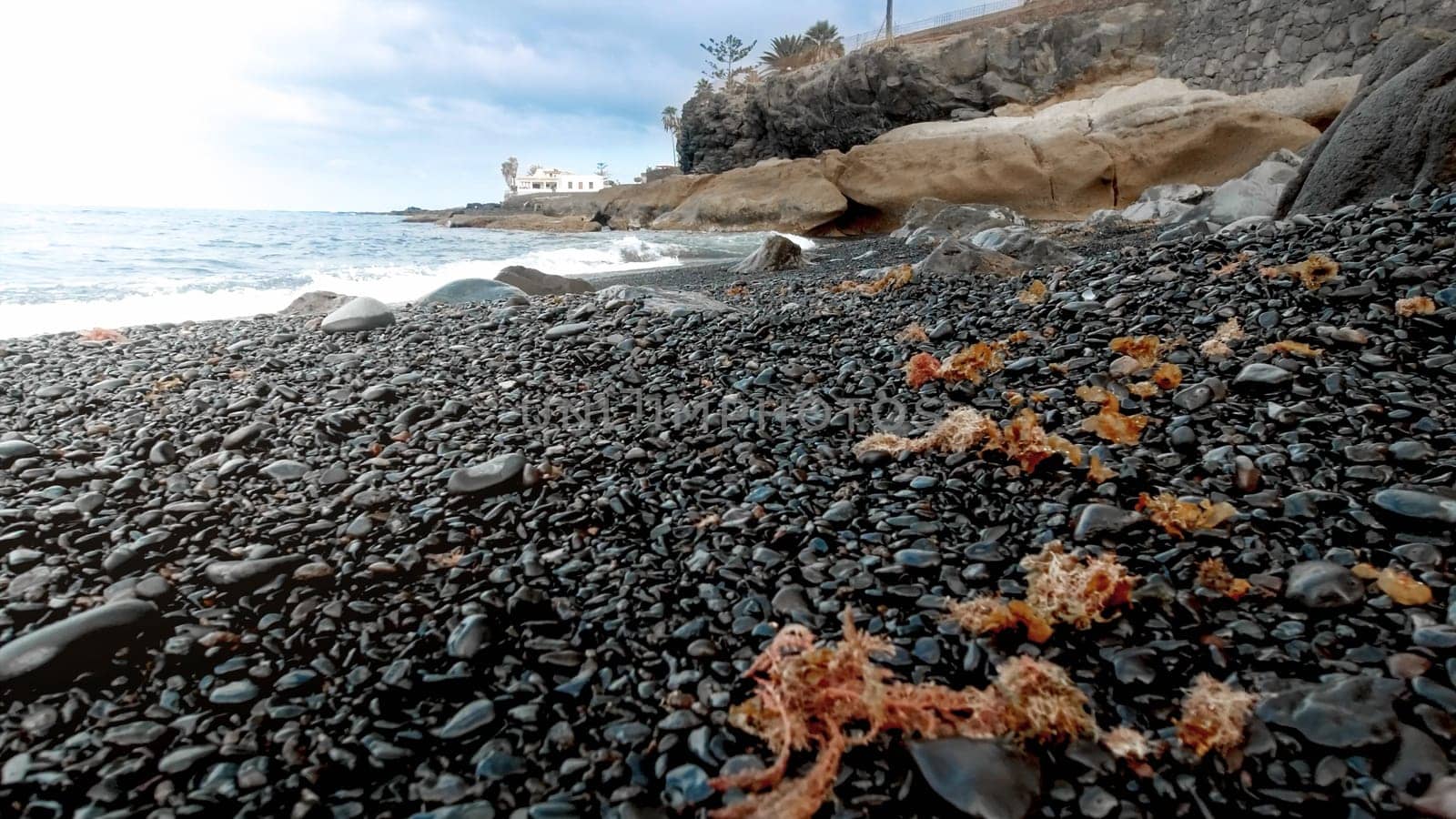 Closeup image of seaweeds and wet rocks lying on the sea beach.