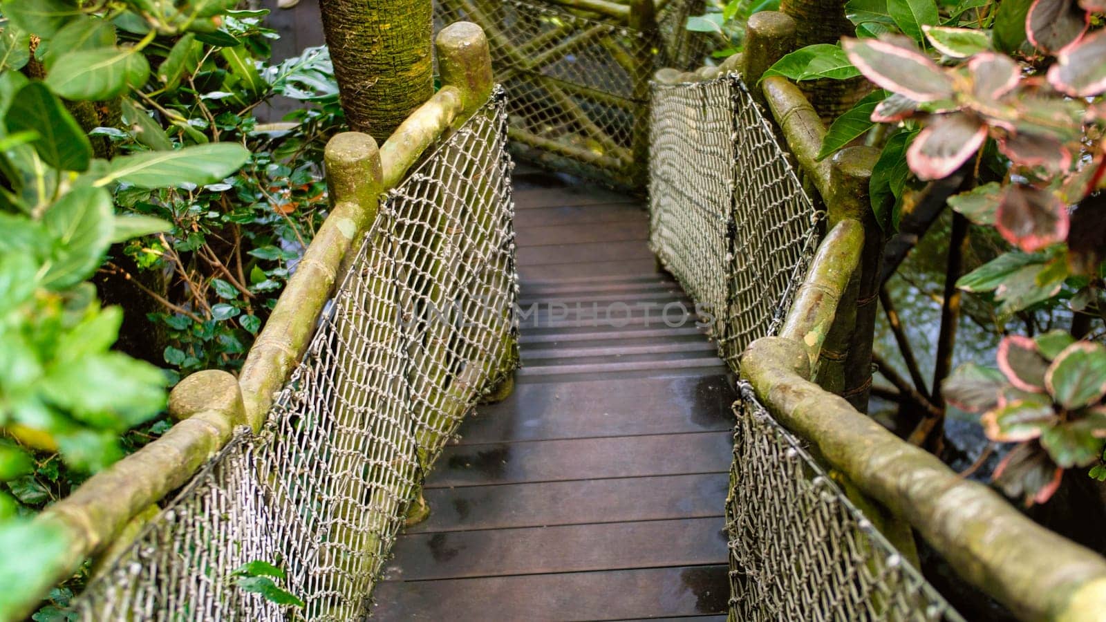 Narrow wooden bridge made of ropes and bamboo in tropical jungle forest.