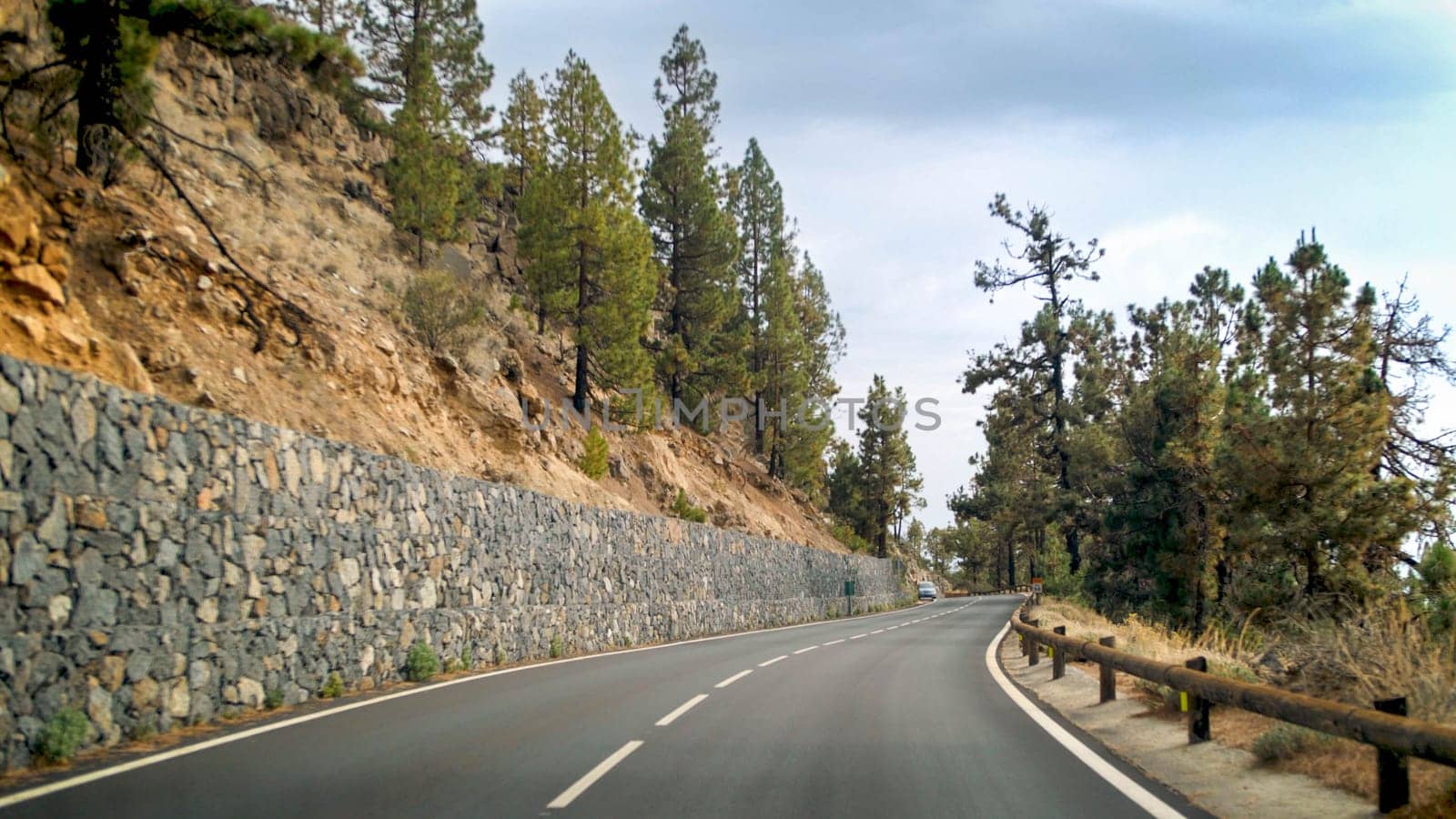Long highway going through pine forest in mountains.