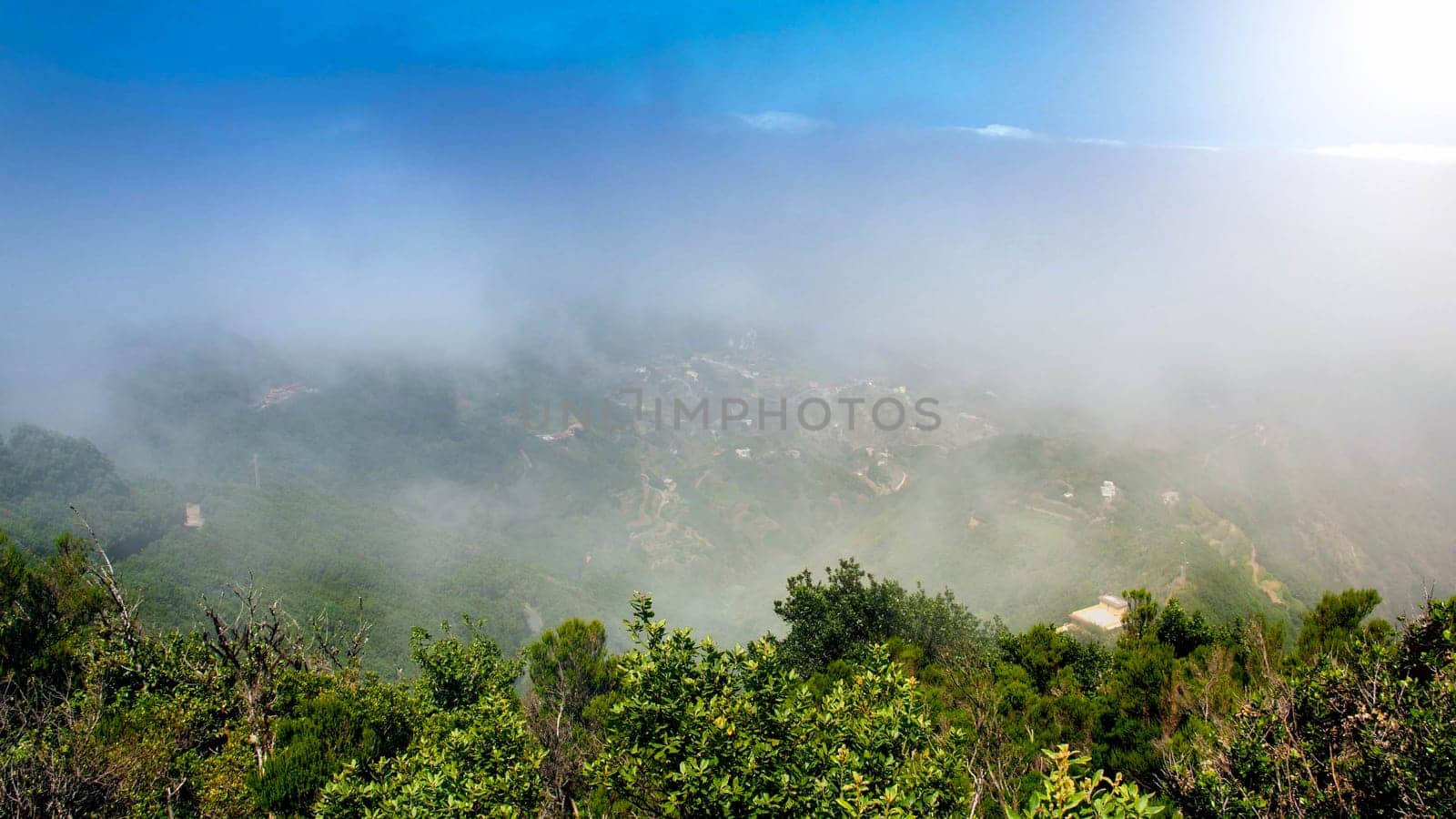 Landscape of cloudy morning in the forest at high mountains.