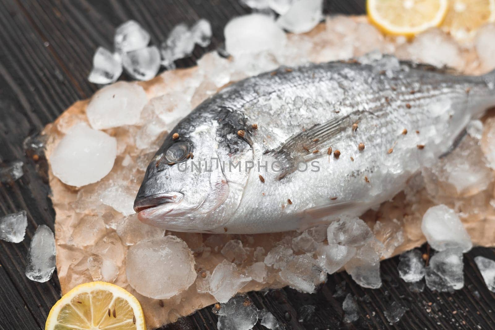 Raw dorada fish or gilt-head bream on ice with lemon slices and rosemary over black wooden background, flat lay, top view.