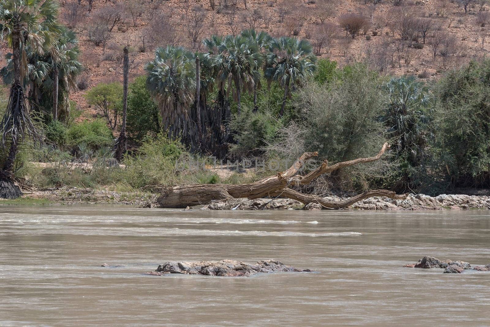 Landscape view of the Kunene River, the border river between Namibia and Angola