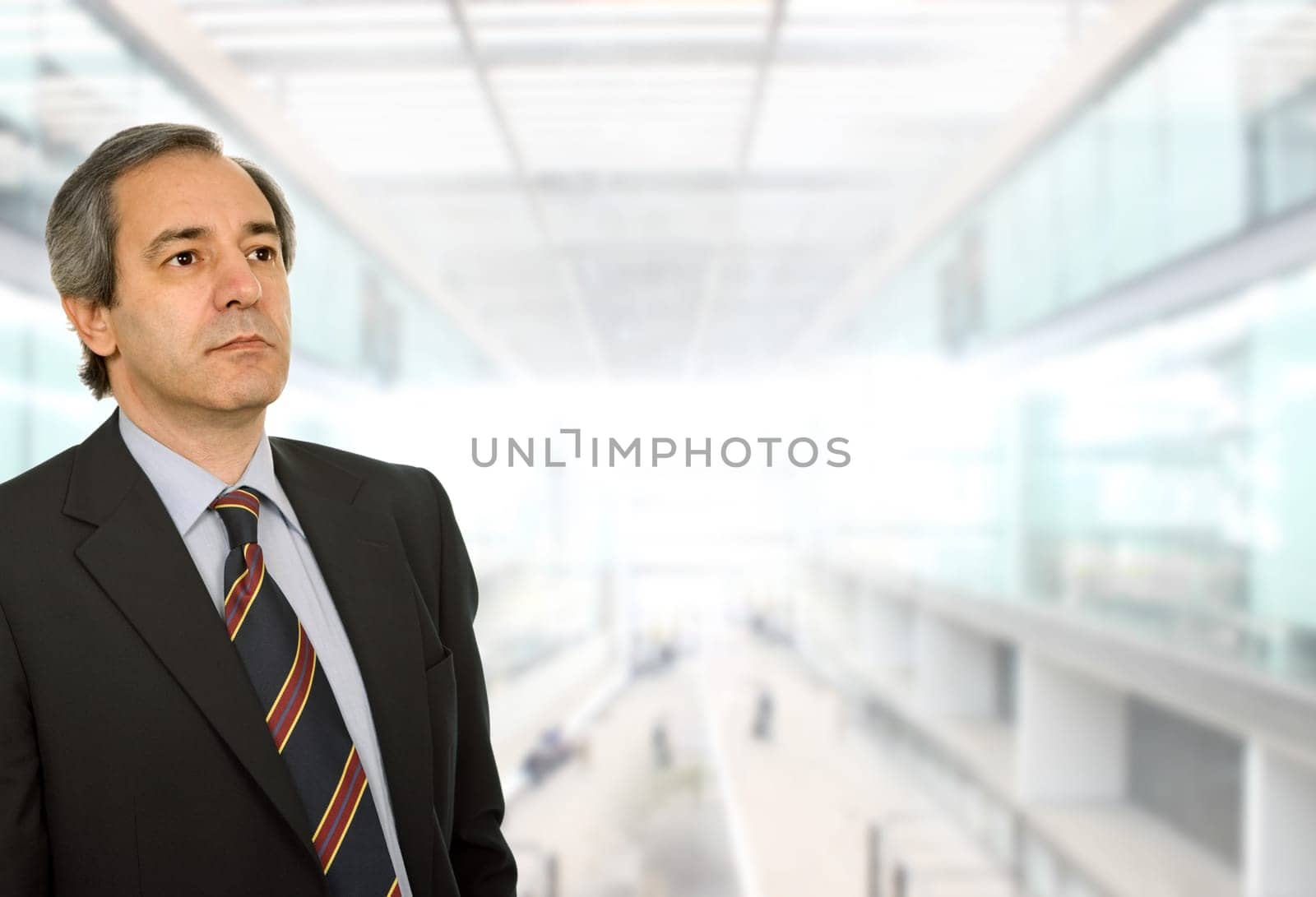 mature business man portrait at the office
