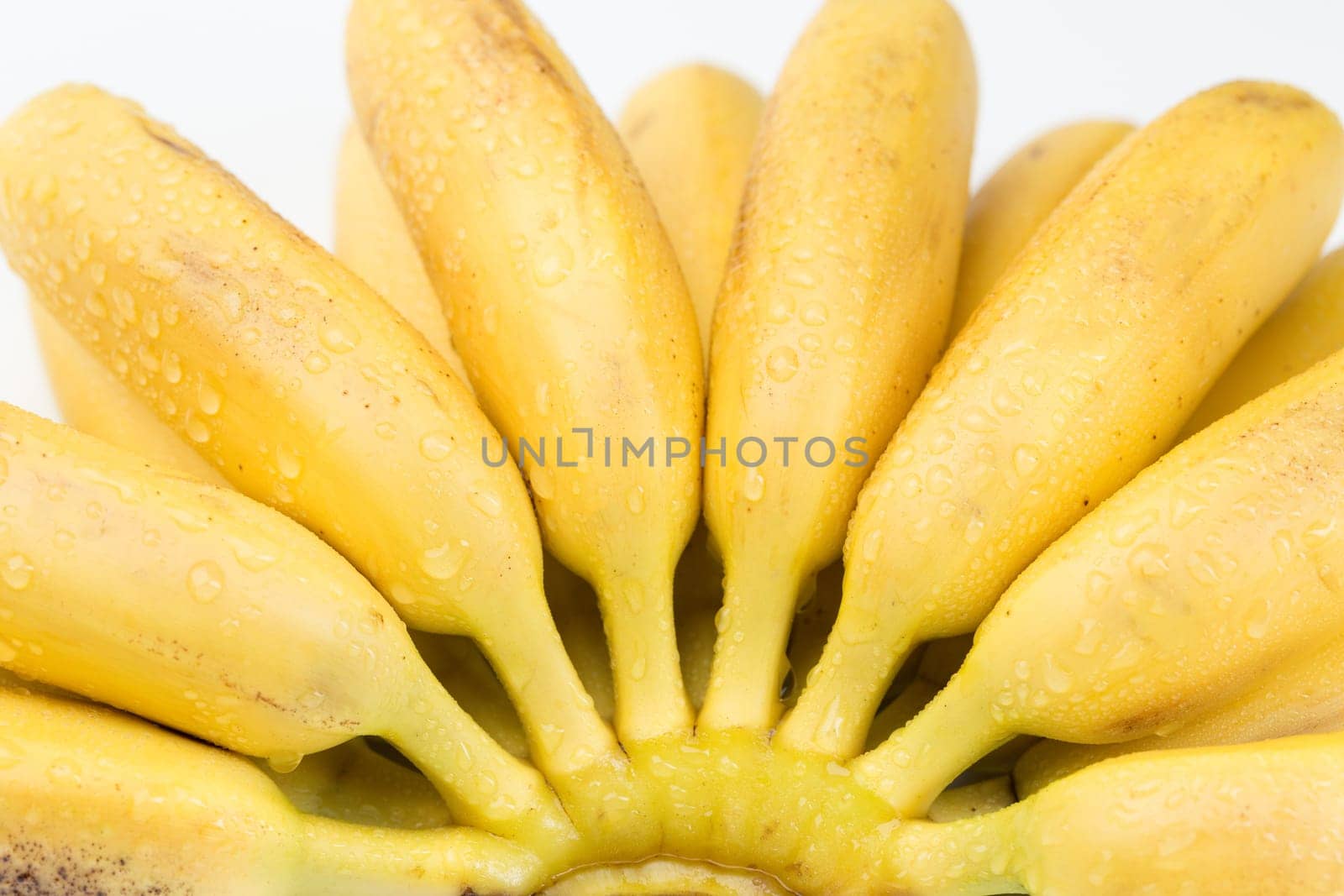 natural small tropical banana in a bunch over white, isolate