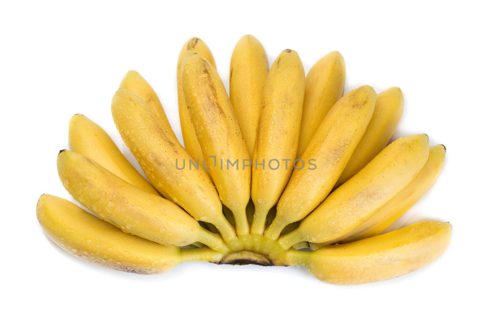 Bunch of baby banana isolated on white background
