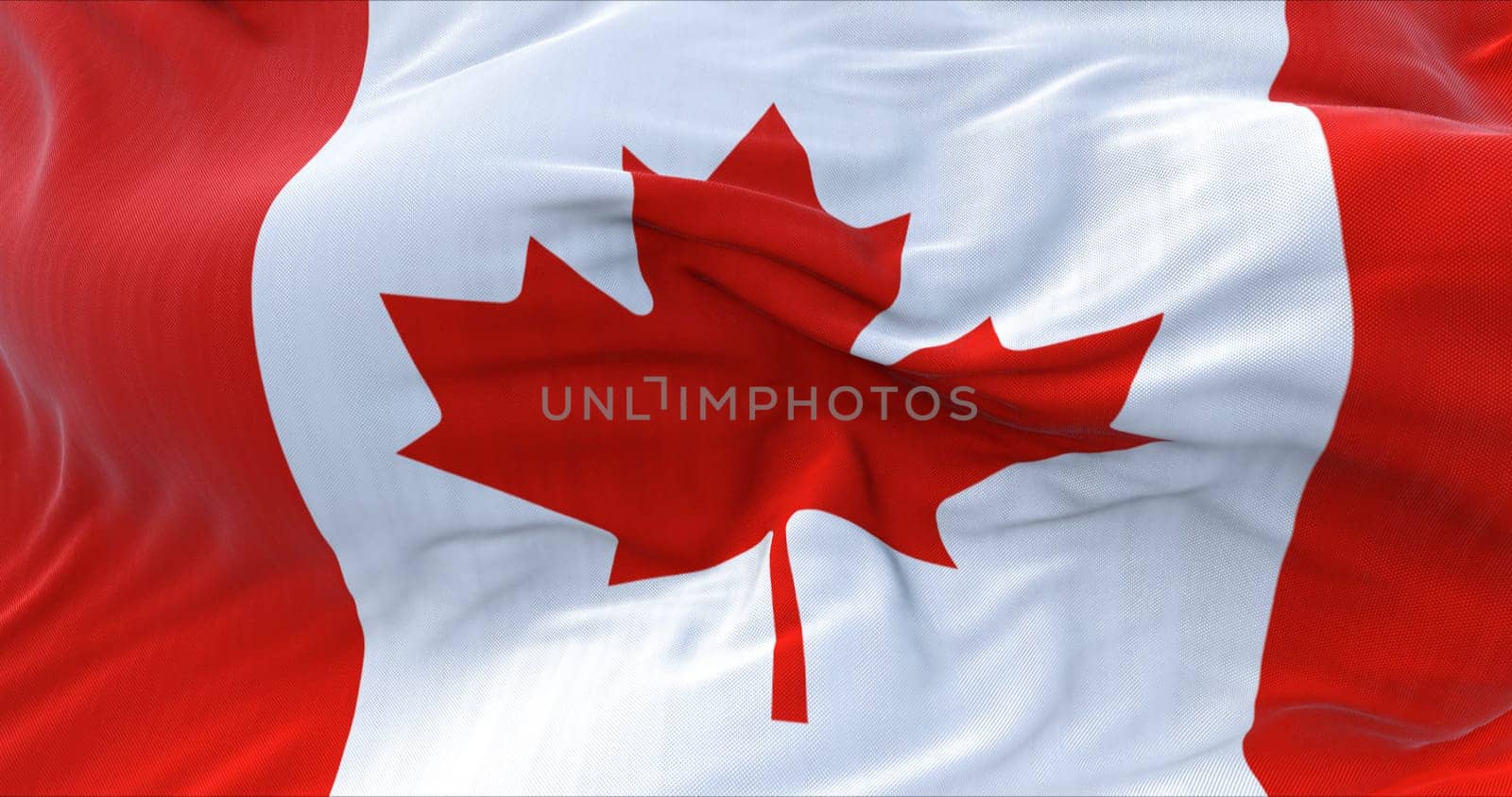 Detail of the National Flag of Canada waving in the wind. Red maple leaf charged in the centre. Democracy and politics. North American state