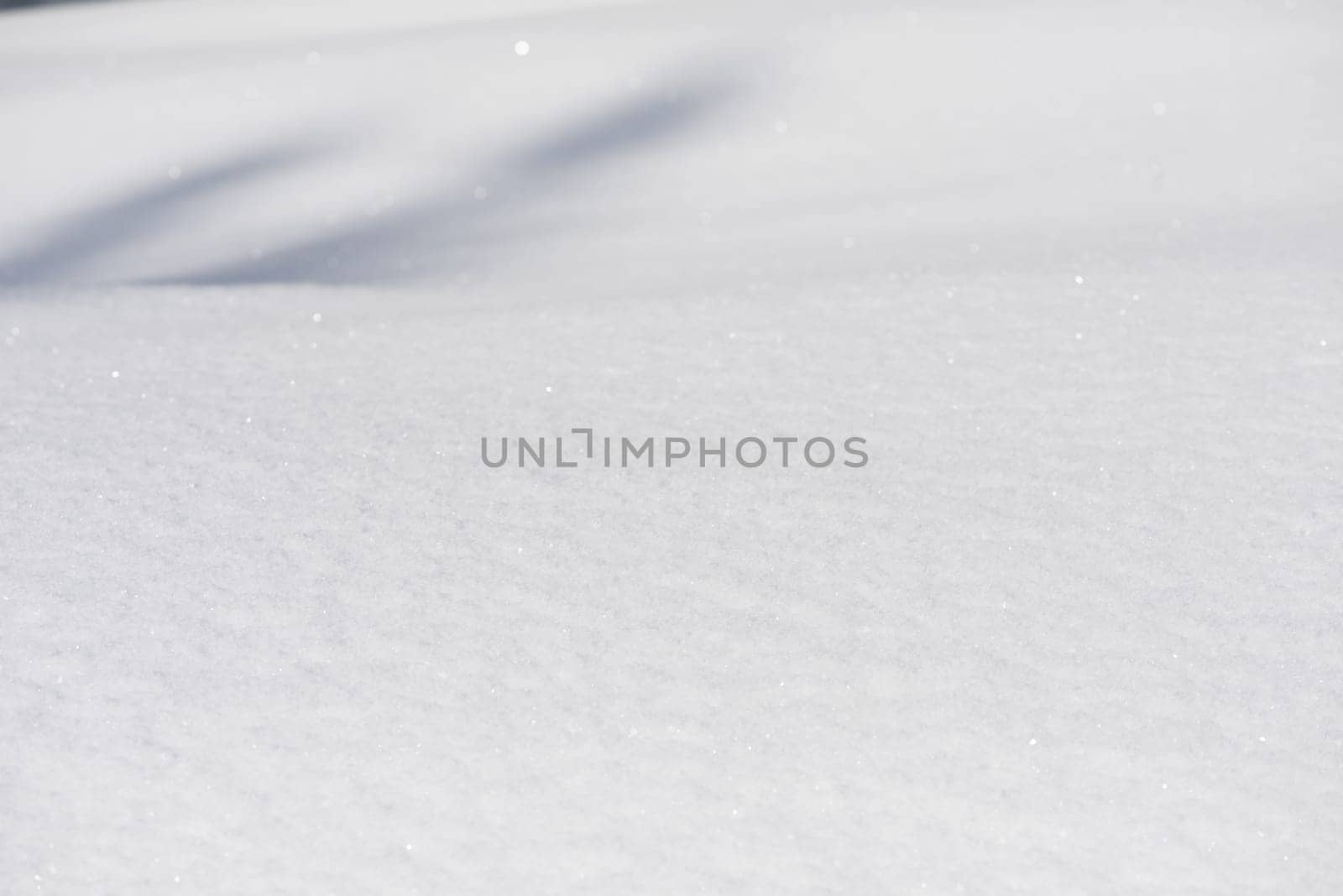 fresh snow close up background in winter forest landscape nature in sunny morning