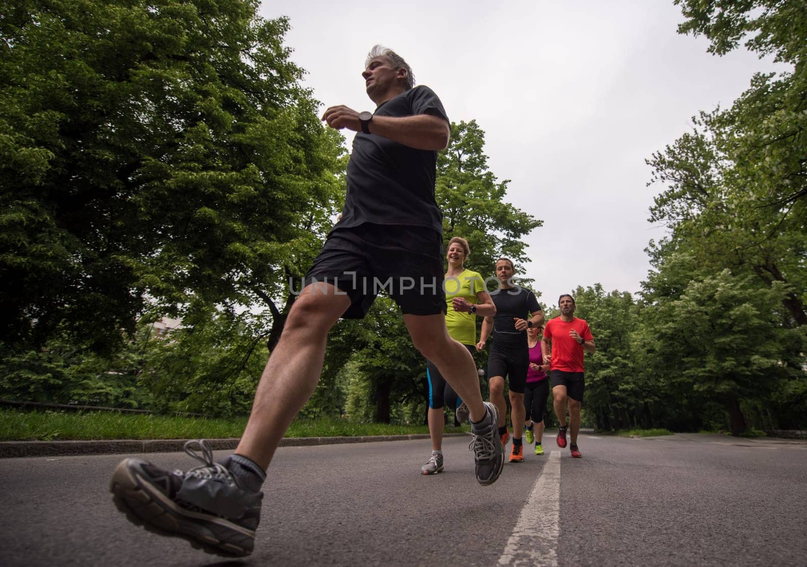 group of healthy people jogging in city park, runners team on morning training