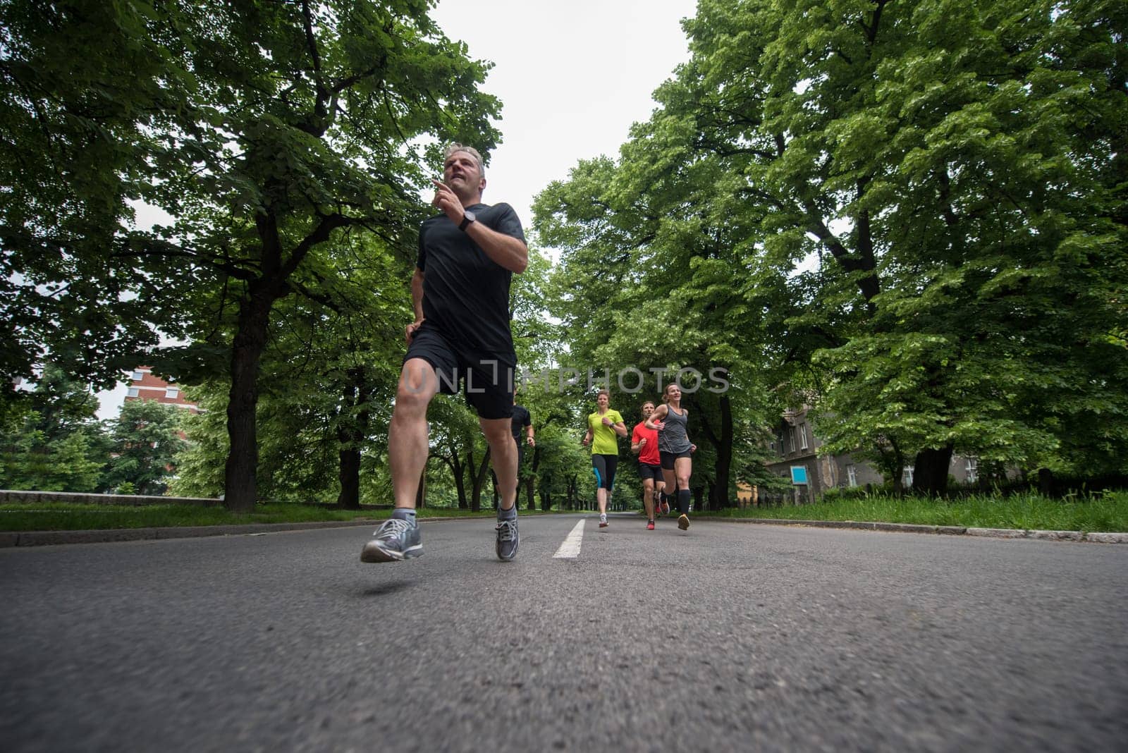 group of healthy people jogging in city park, runners team on morning training