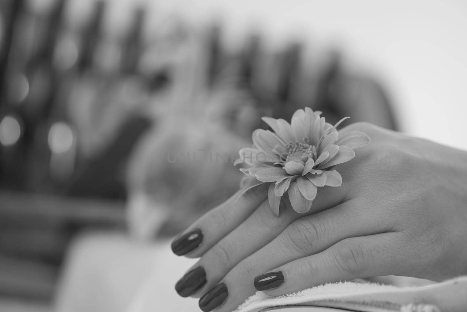 Beautiful fingers with french manicure on the towel. Manicure in a beauty salon.