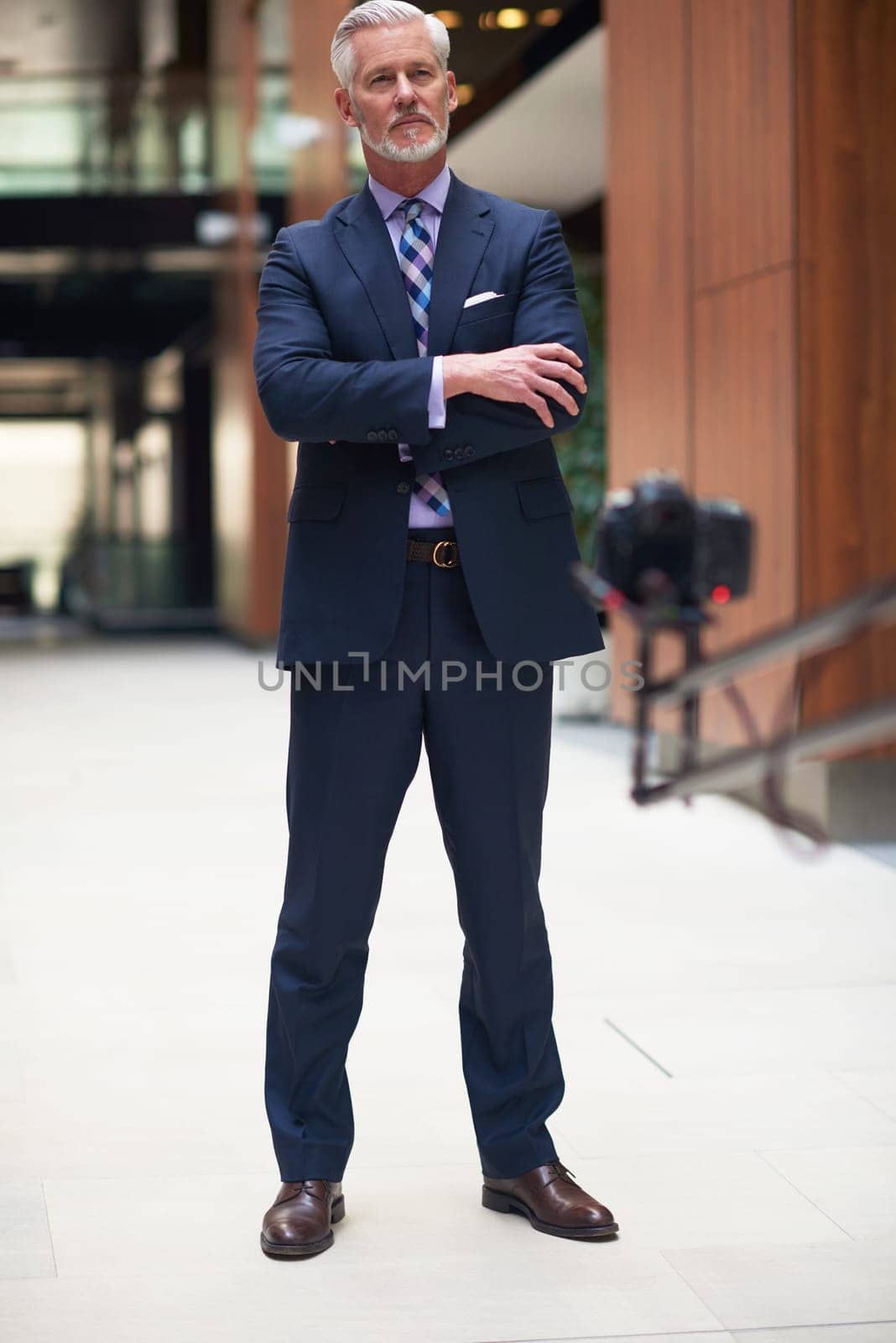 portrait of senior business man with grey beard and hair alone i modern office indoors