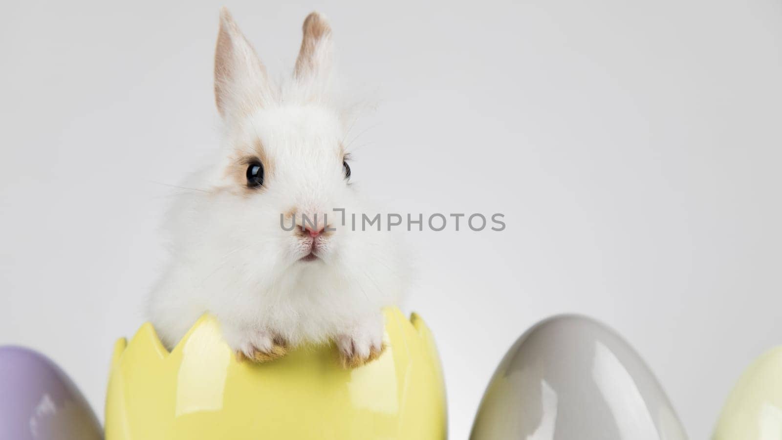 Eggs,Spring baby bunny, happy easter background