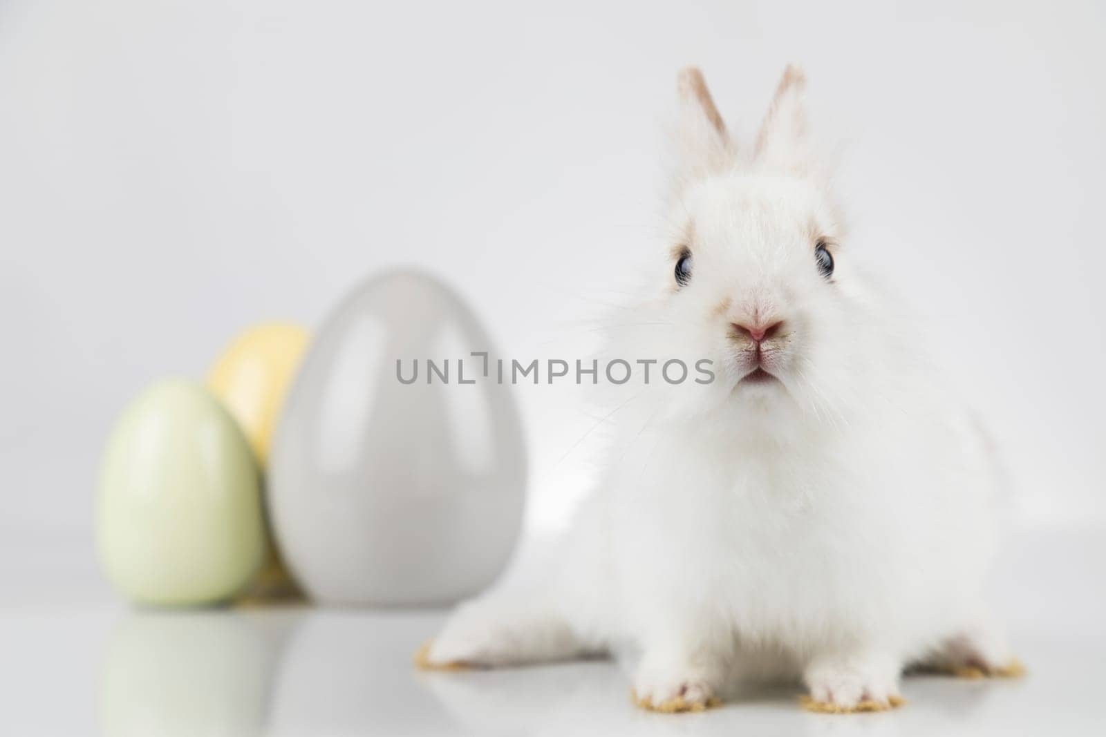 Egg,Little bunny, happy easter background