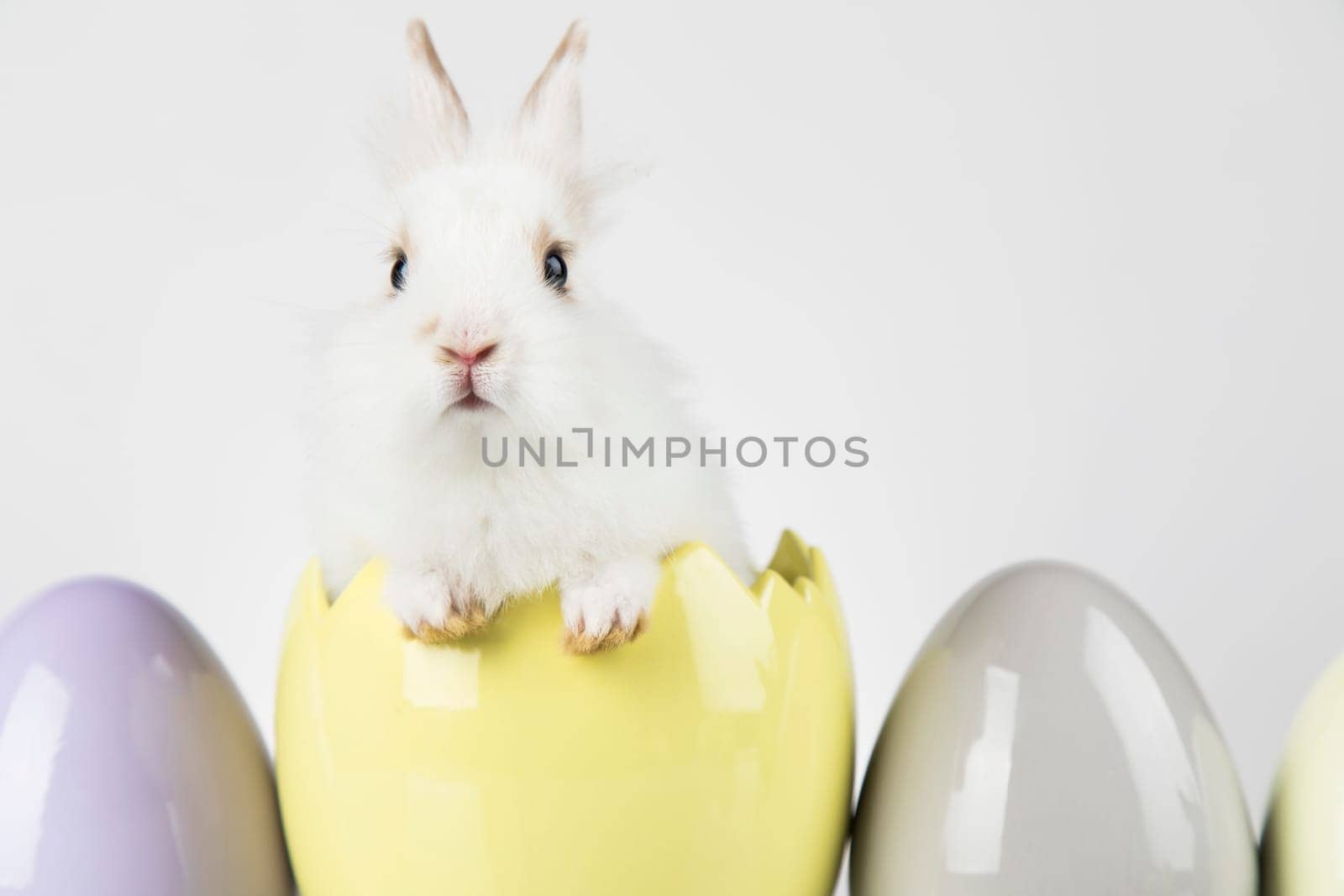 Eggs,Spring baby bunny, happy easter background