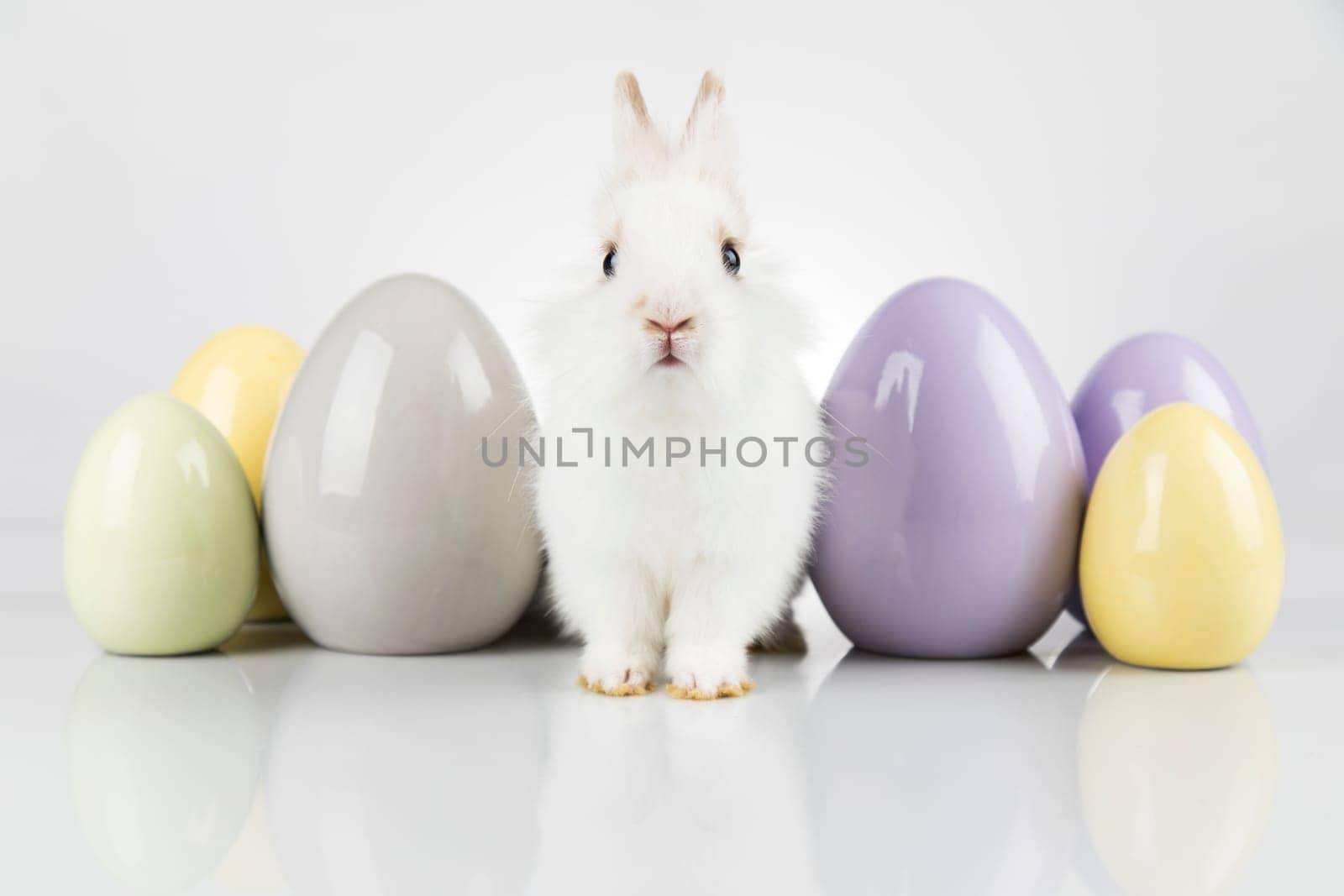 Egg,Little bunny, happy easter background