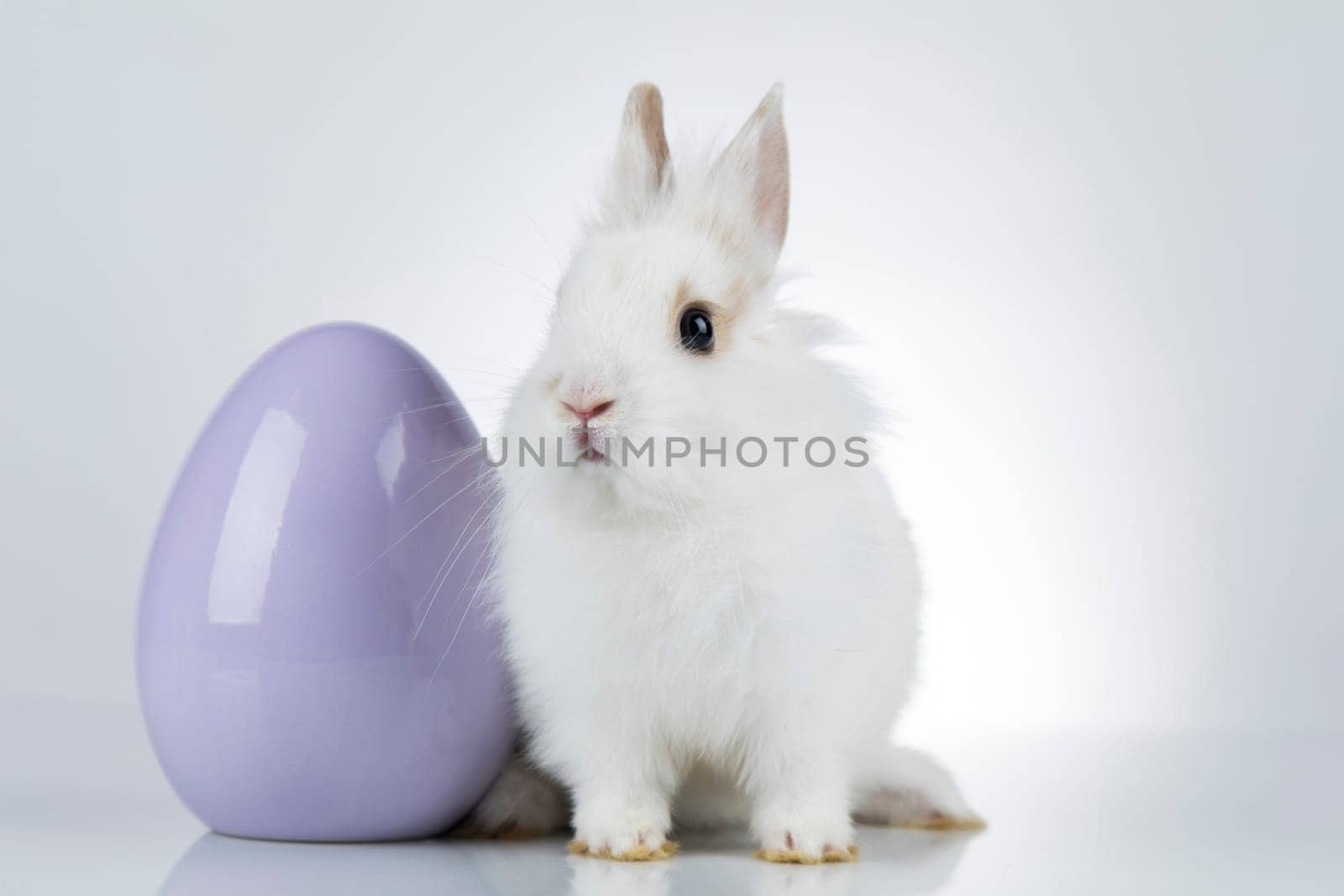 Baby bunny and egg, easter background